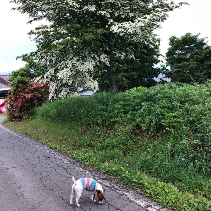 4c7b553a aa5d 4b67 afb1 ab7f8969c1e0 1527728608084