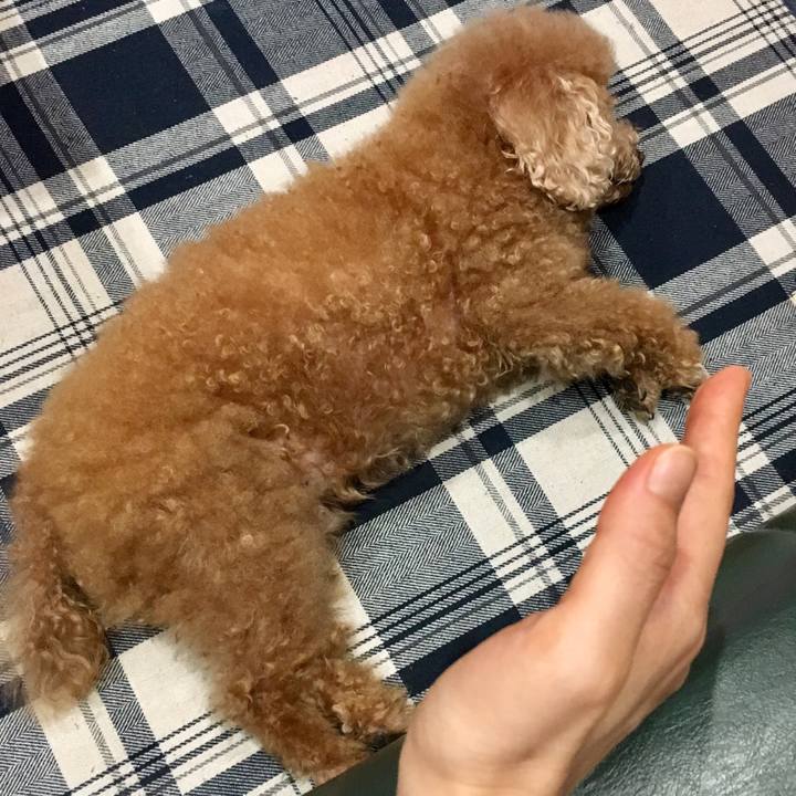 4c7b7dfc 8069 430f b21d f055d1e4f31a 1518607915368