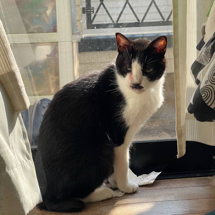 4c7bc564 1a95 4ba7 8f5d 3f87348c171e 1643704150616