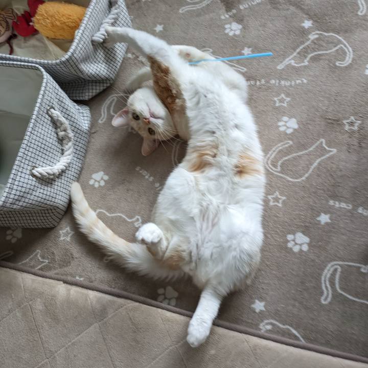 4c7bccde af57 4366 921e 3fb47b5bf3b1 1701318261777