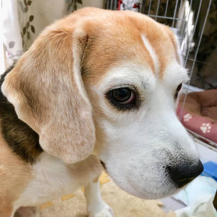 4c7c01bc 22a9 45b2 a8a8 97cb5bd84175 1541388179565