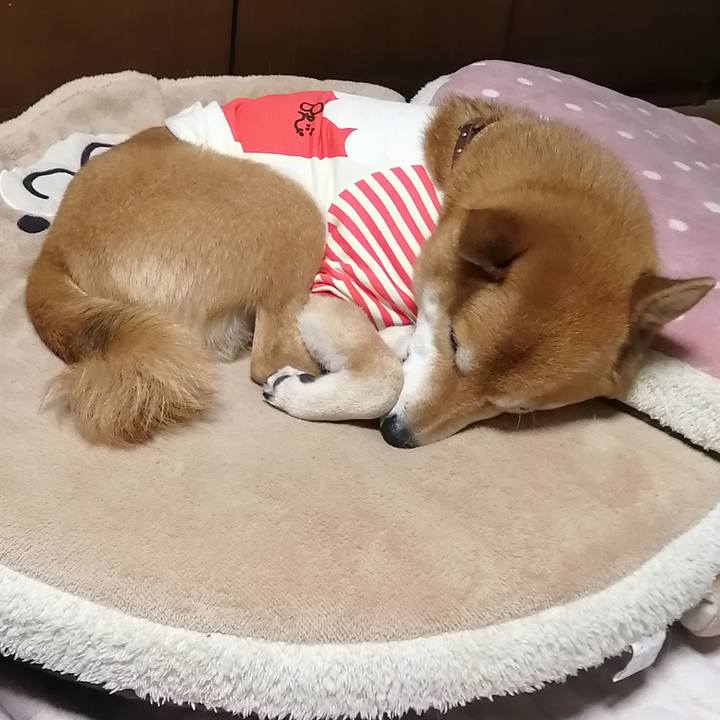 4c7c48b0 13c5 4869 a955 818338837978 1608804728074