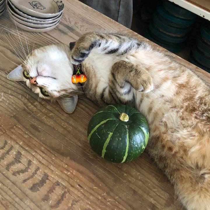 4c7c6c89 6398 432d 8758 e66e352575bf 1656750093699