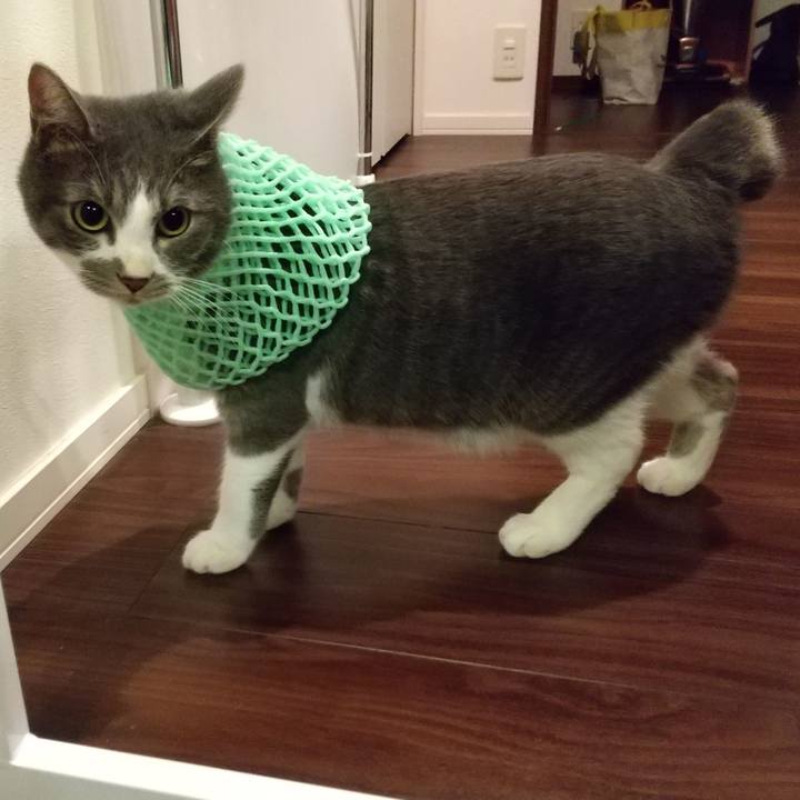 4c7c80b1 ea6a 4252 9f17 e03b1340ecd2 1603722854785