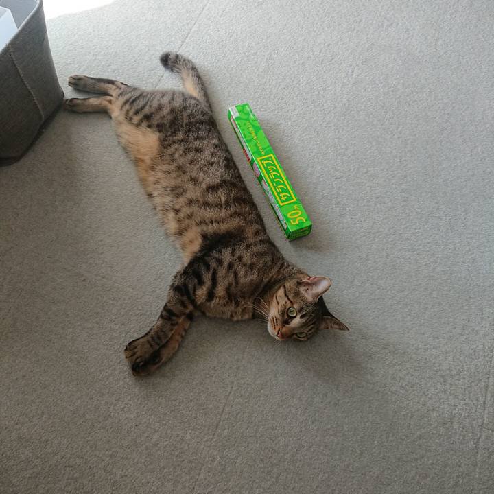 4c7c94d8 1bef 4de4 bdf4 00e915457e35 1539146487559