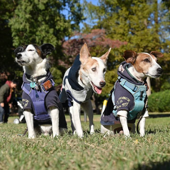 4c7cf676 35e1 407e a870 b8ece63cf325 1762173868000