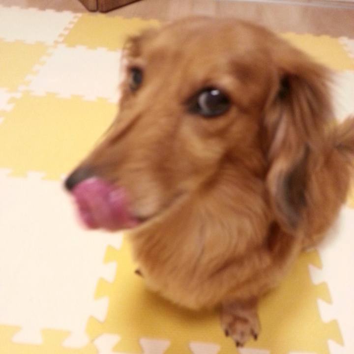 4c7d0eb0 abba 420e 9f36 92040df744b5 1526047274594