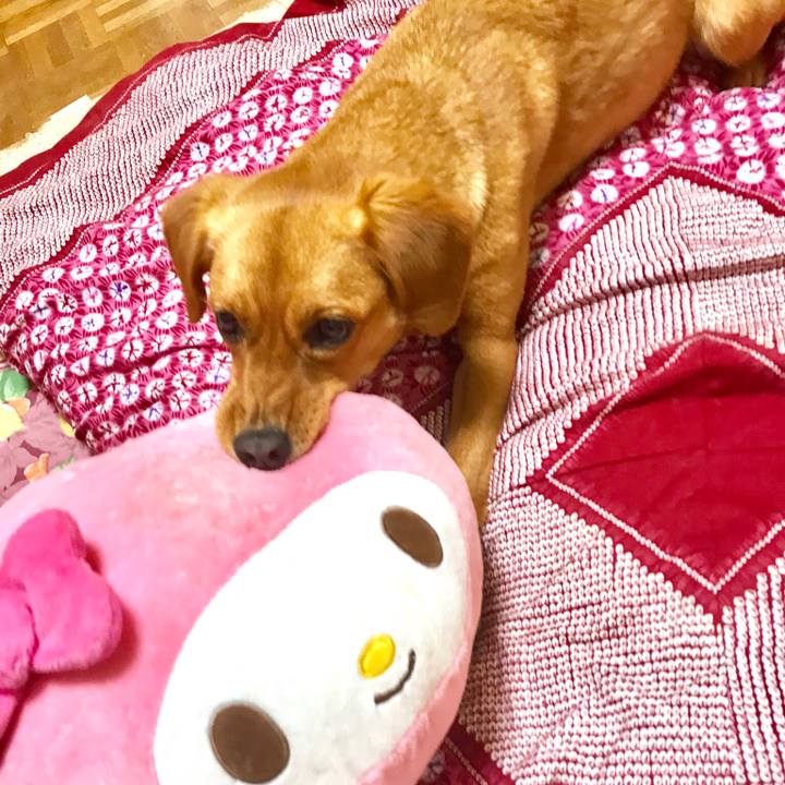 4c7d1ab1 4f9b 4046 8823 b6b31740f8e5 1527510522866