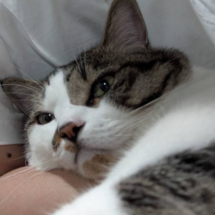 4c7d4ae9 449c 4c4b 9a47 ce870e41924b 1752962062748