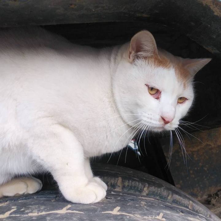 4c7d6a62 324c 432c 8e75 d1f8324a6e42 1580776262386