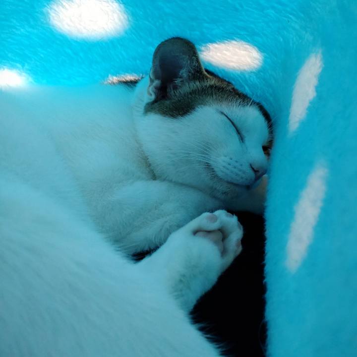 4c7d974d c2ae 4871 9792 96ba59c8b366 1651637753482