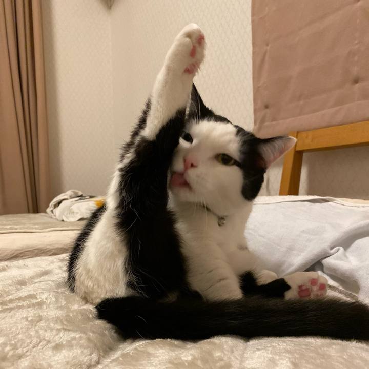 4c7da46b b359 4d58 9200 63e07a4b8d0f 1773702618035