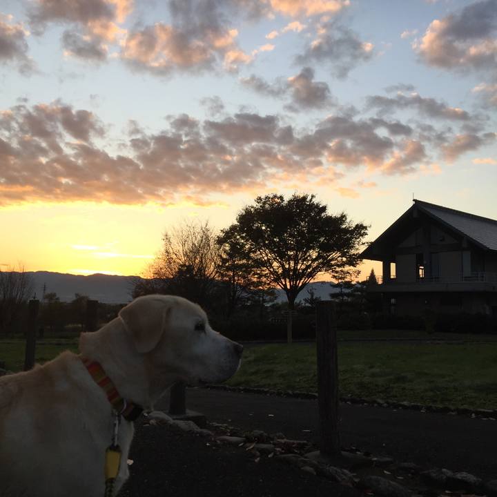 4c7daee5 71e2 4132 96a0 987780c38b18 1542325584598