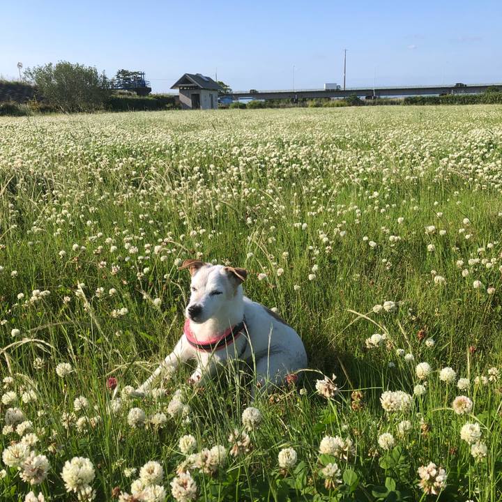 4c7e14fb 5581 415a 8ede a14ad77e45bb 1652256511100