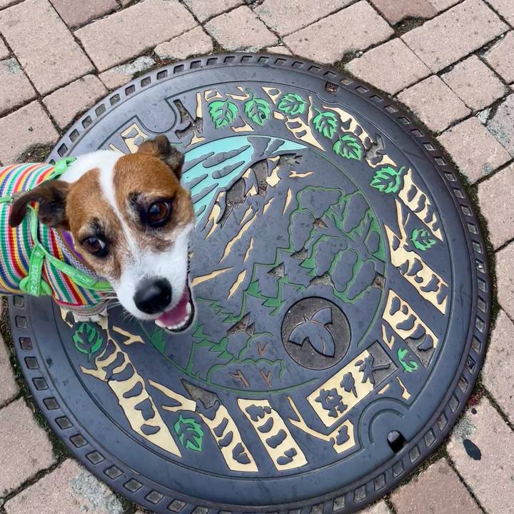 4c7e1e3e 0530 4282 bd52 2825865377e5 1747577709177