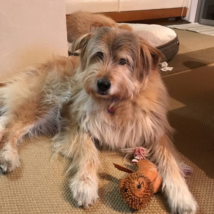 4c7e4f15 683b 4dc0 905b 6d72c6e3bb7f 1585574869673