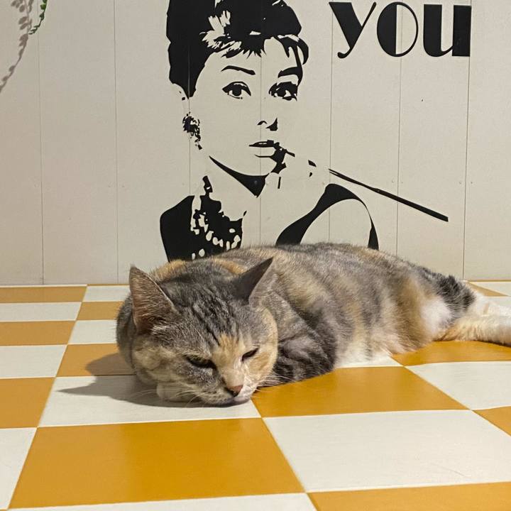 4c7e542e d7b6 444a afb5 42467872b00b 1695124512989