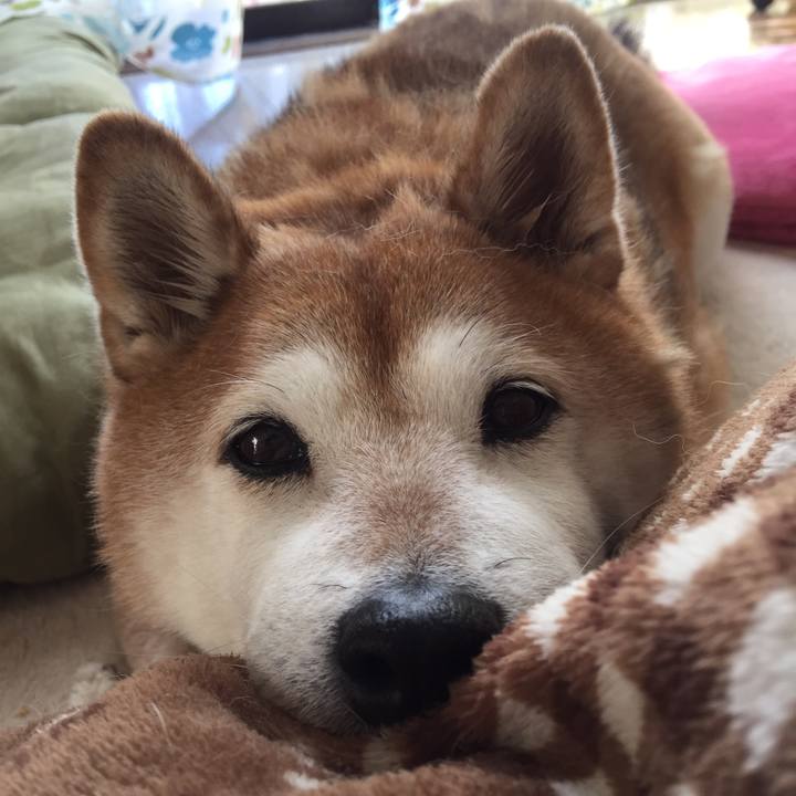 4c7ef259 7166 419f bcd0 477c54cb6725 1547440866147