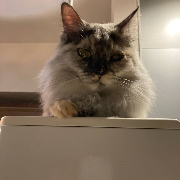 4c7f1423 dbbb 4177 8729 2348028aa56e 1730976439608