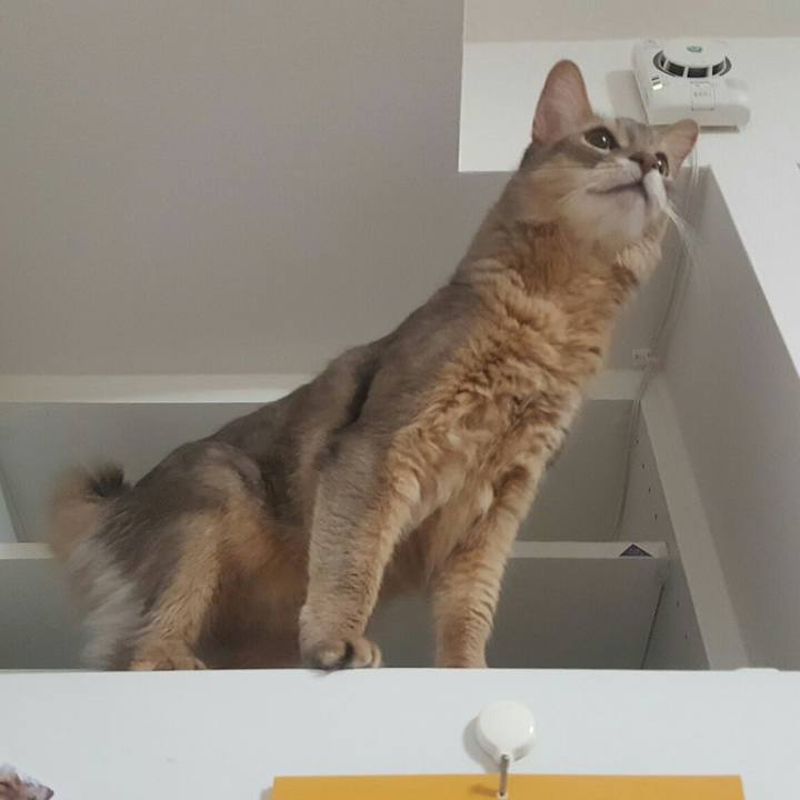 4c7f3fa6 1920 4866 985b 196546b51b90 1550902024533