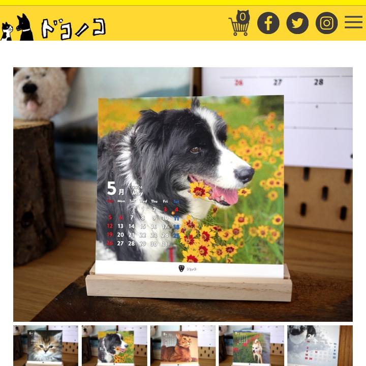 4c7f5348 acc4 4038 b095 202ea728d1c6 1708316473621