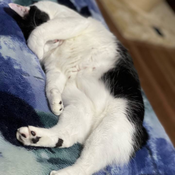 4c7f7b02 fa5f 476a 9463 77401bed7e32 1683378049682