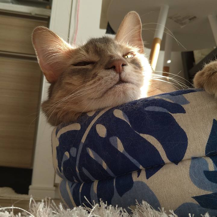 4c7f821a e13d 4bf6 800e 94706325b499 1608614005721