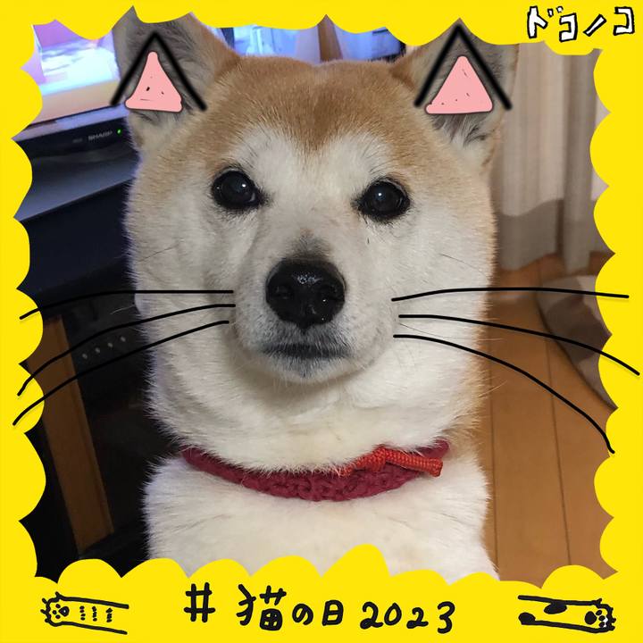 4c7f8468 c500 4ce5 8f0d 63e96f98b369 1677034126364