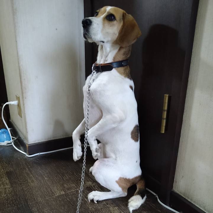 4c7fa1ea 0789 4f11 8dc3 d13deb6b5640 1629355074465