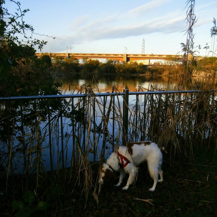 4c7fa9a1 7f3c 4b80 9076 501960c2485d 1544227970751