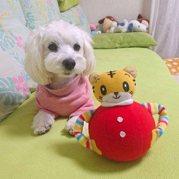 4c7fb782 51fd 46b4 b297 6f2ae210a532 1509613077116