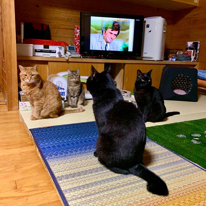 4c7fe5d6 8074 4124 9fe2 b2532430aeec 1599656272675