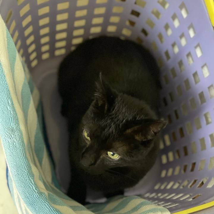 4c800bc1 589b 4862 aef4 476f5dabf1c5 1624931610488