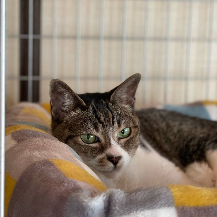 4c800edb f586 4eb2 b470 f38aa04a6aff 1658450443390