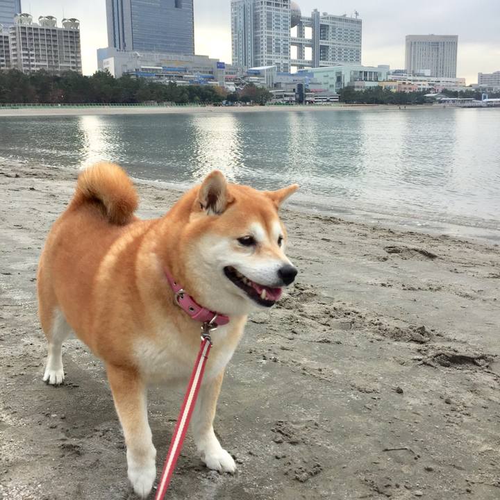 4c801d94 68bc 494c a0d2 20da6706aad9 1576243889603