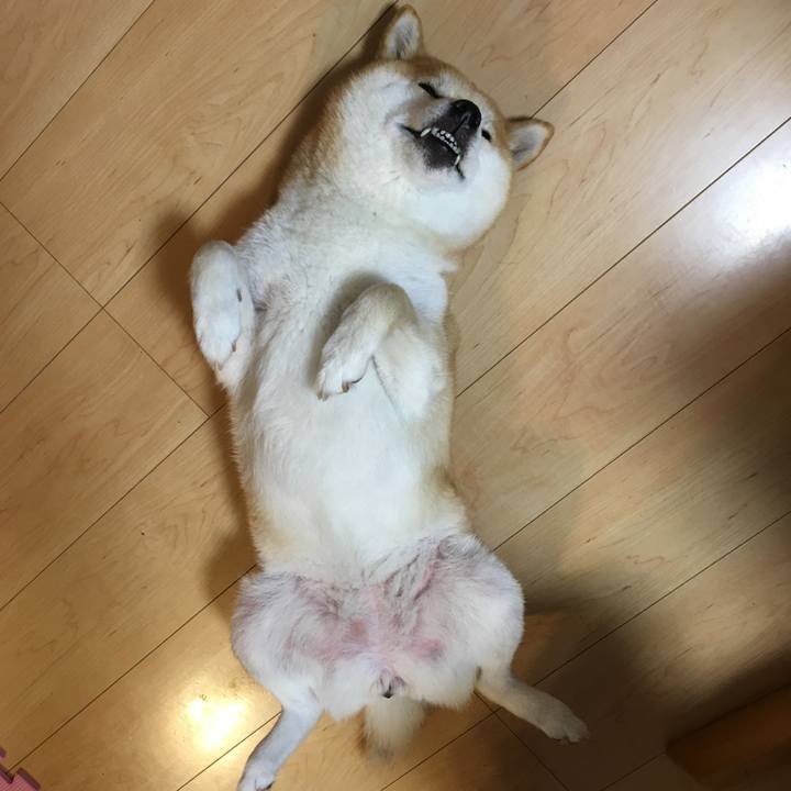 4c80369b 0395 4fa8 ba16 4fb4415e0e06 1540170746064