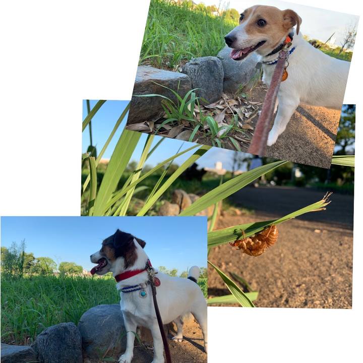 4c805ce7 038b 4bc7 a4db e4e06ef2f1be 1565300347402