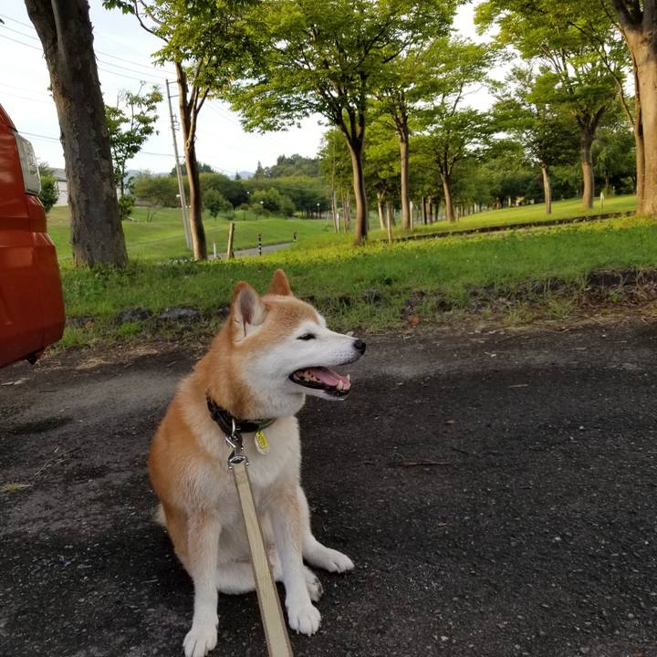 4c807110 b62d 41f2 92b9 2fec18a51985 1660034459127