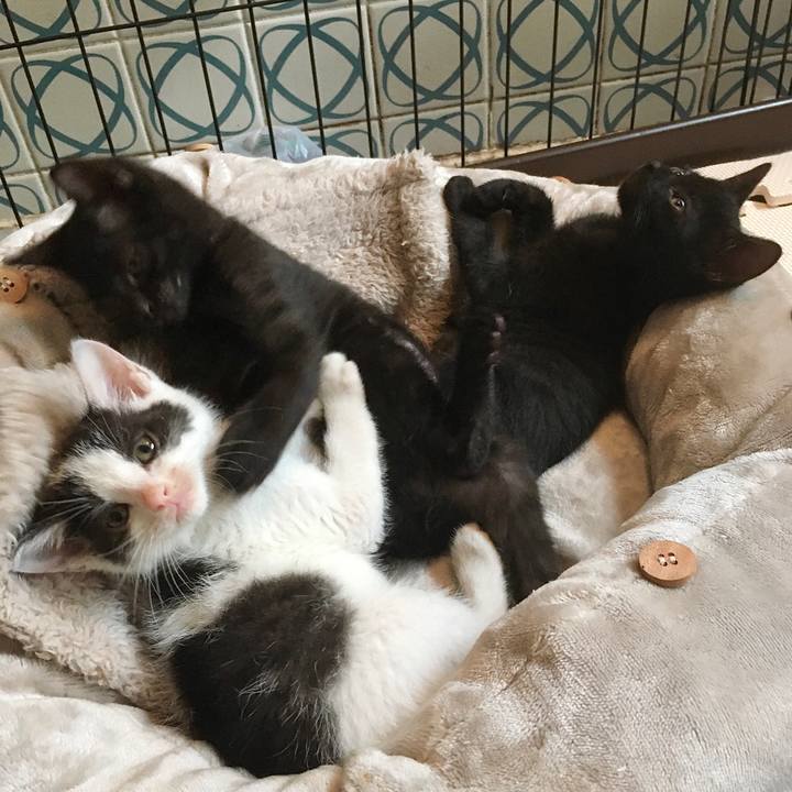 4c807732 43ab 4c40 941f f91ecc34294e 1625178678603