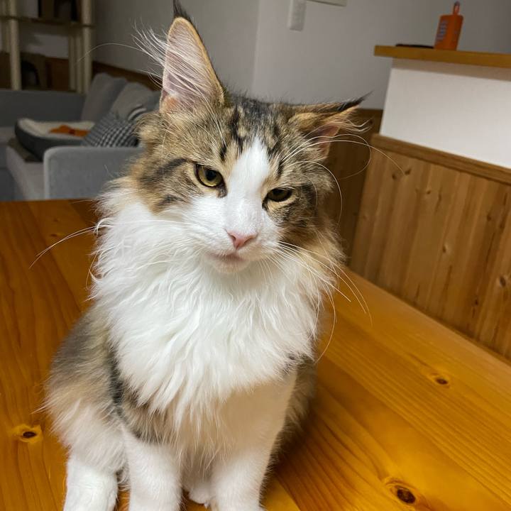 4c809ebc 9055 4fa4 8511 901968e7332a 1638305553047