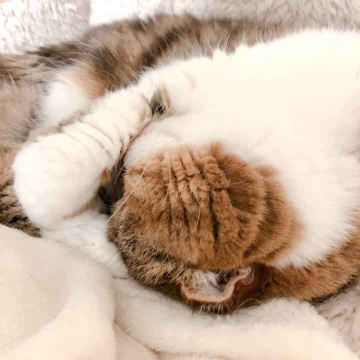 4c80a959 e9e7 4e03 a435 4010a657ecd9 1585734244219