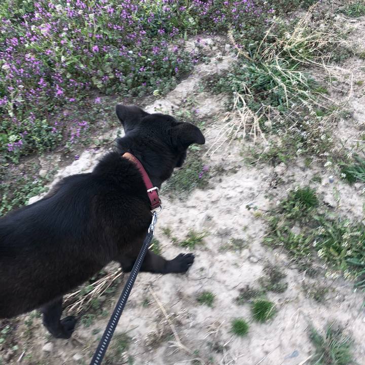 4c80d9c1 360b 45e7 9a7e b98328874eaf 1552808440041