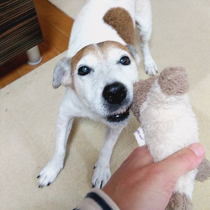 4c80db2f ab3e 4491 bd69 4c53de925ec1 1574893275831