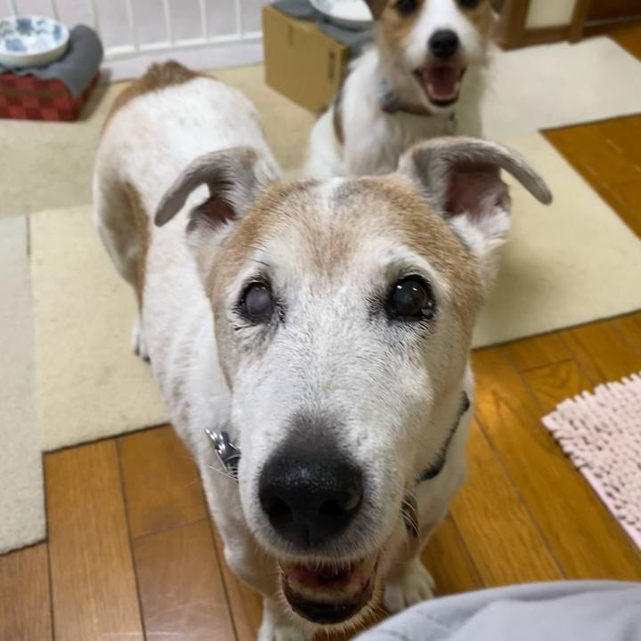 4c8104f6 7fcf 45e1 bd48 d622bc477c20 1689287549684