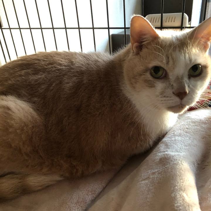 4c8153a3 985c 417a b9a0 0a0692158650 1605651841743