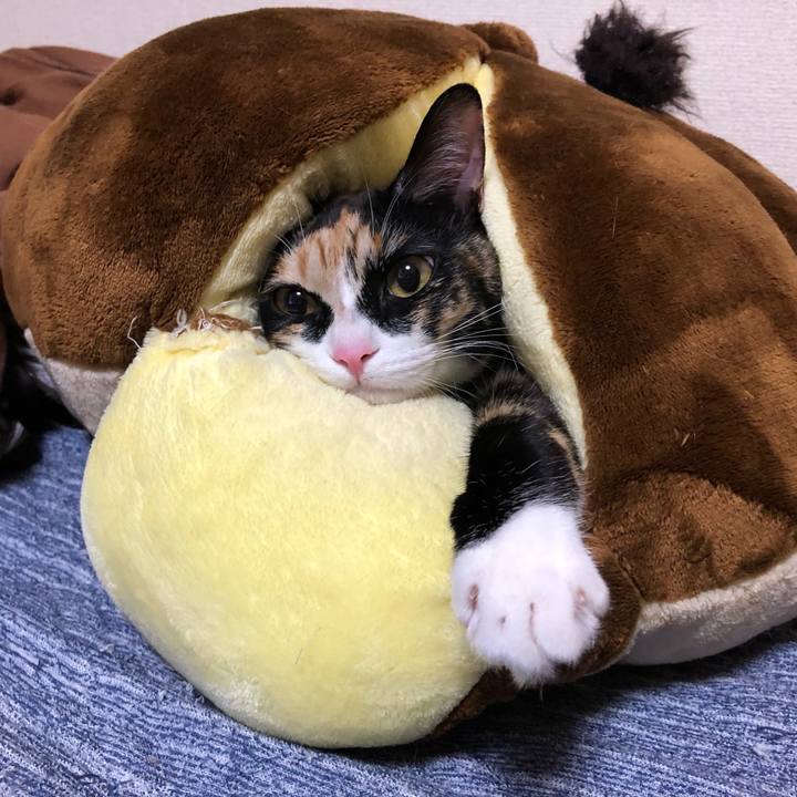 4c8187ce 4b8c 4b01 9f7a baeeefbf94b9 1568889797888