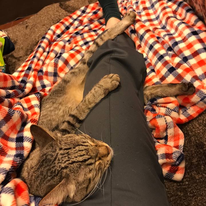 4c81b00e 84d2 46e3 a1d1 ad29386206e5 1545311550342