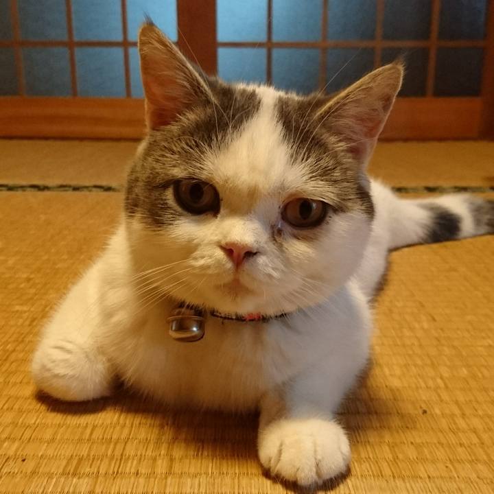 4c81c35f f15f 46b8 84d3 c2885744f243 1561191640682