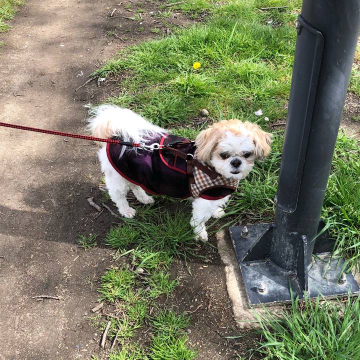 4c81dcd7 dc67 49e3 842f afdf371b652b 1522100213101