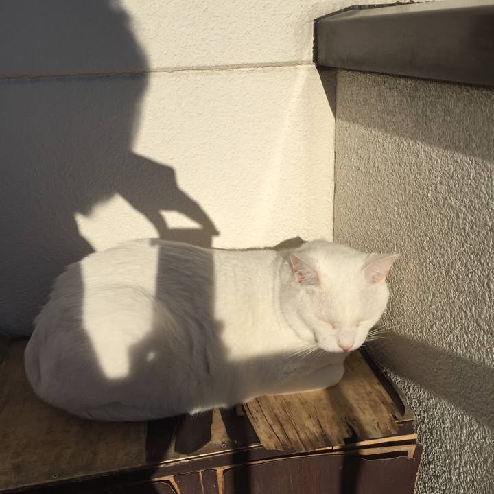 4c81f195 2134 46e0 80b3 db5078b9508d 1575762497380